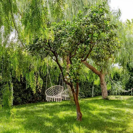 Massaroom Conversano